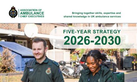 Summary of the AACE Five Year Strategy 2026 to 2030